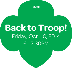backToTroop201415
