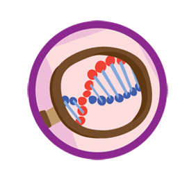 junior_deceive_large