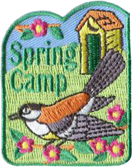 springCamp