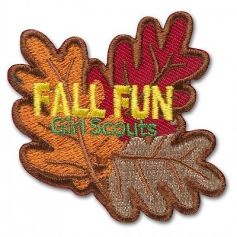 fallFunPatch